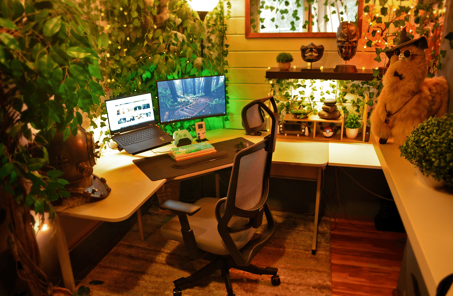 Peaceful Urban Jungle Setup in Washington, US