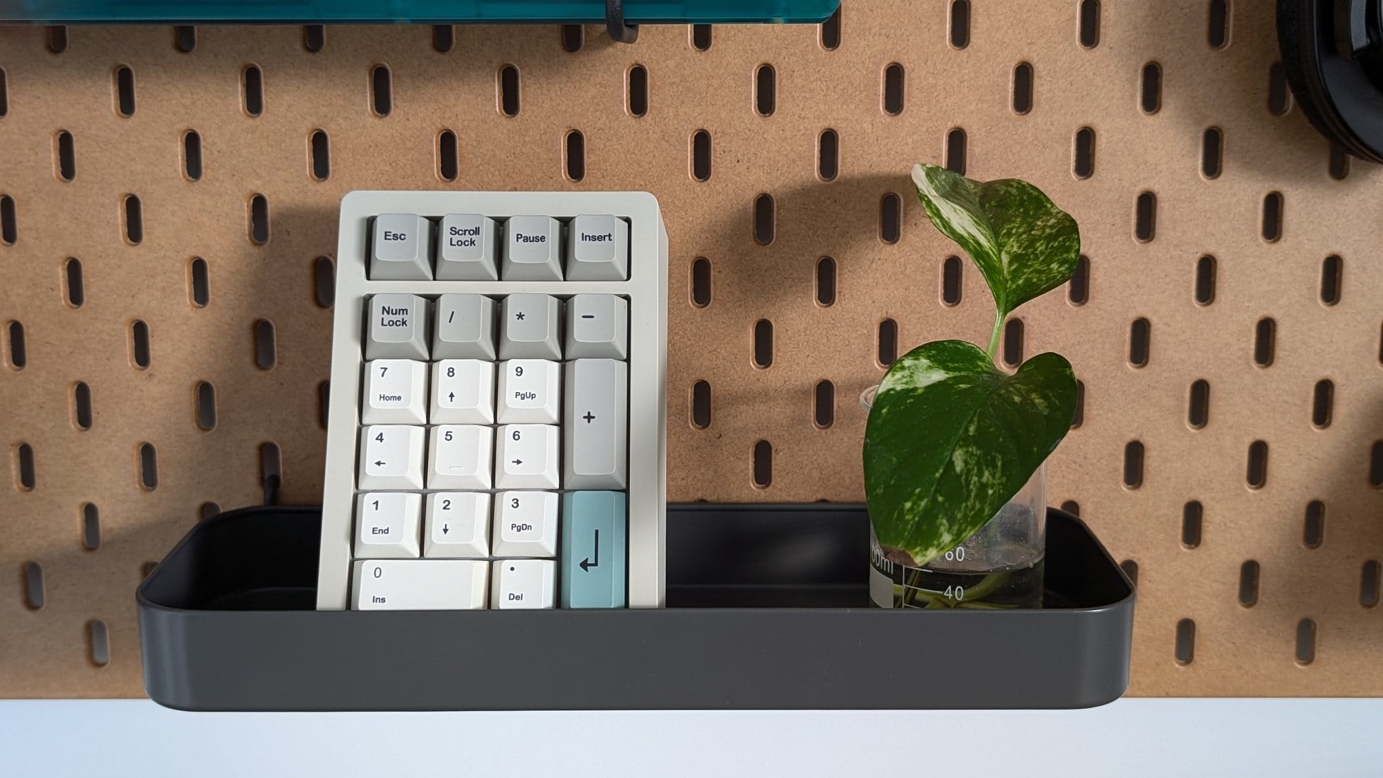 A minimalistic pegboard setup featuring a compact numeric keypad and a small green plant in a glass beaker