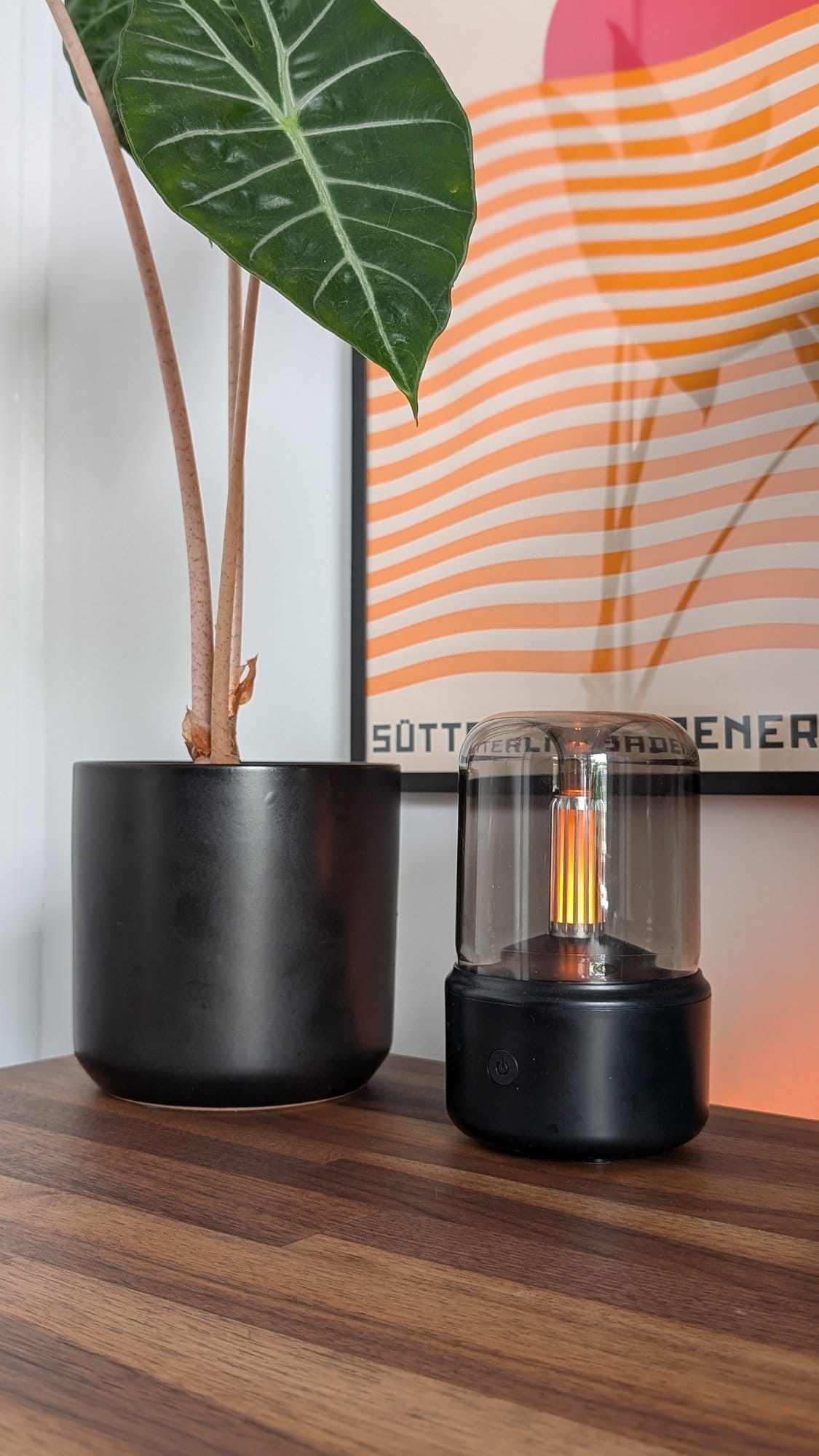 A large, vibrant plant in a black pot, paired with a modern table lamp that adds a warm glow, set against a framed artwork