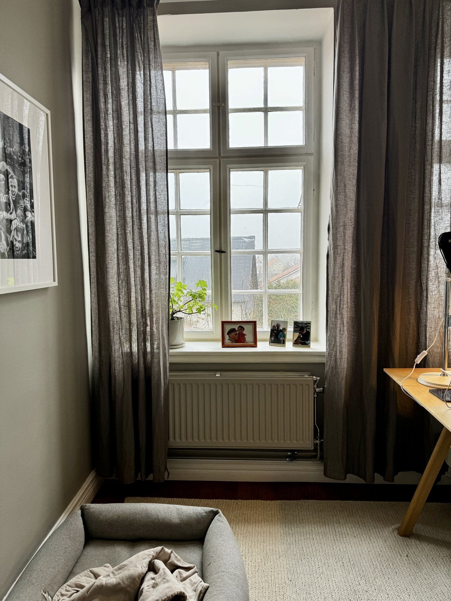 A cosy corner of the office with a window framed by curtains, featuring a Bestlite BL1 desk lamp on a wooden desk, a few framed photos on the windowsill, and a comfortable dog bed on the floor