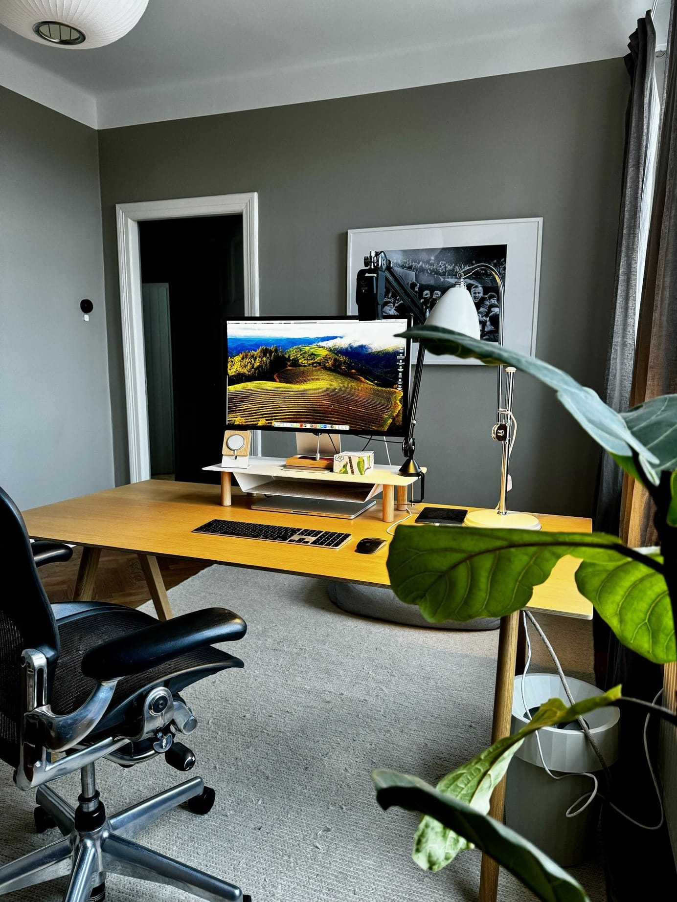 A modern and organised home workspace featuring an Apple Studio Display on a Gather by Ugmonk monitor stand, a Herman Miller Aeron chair, and a Bestlite BL1 desk lamp, all set on a wooden desk with a touch of greenery