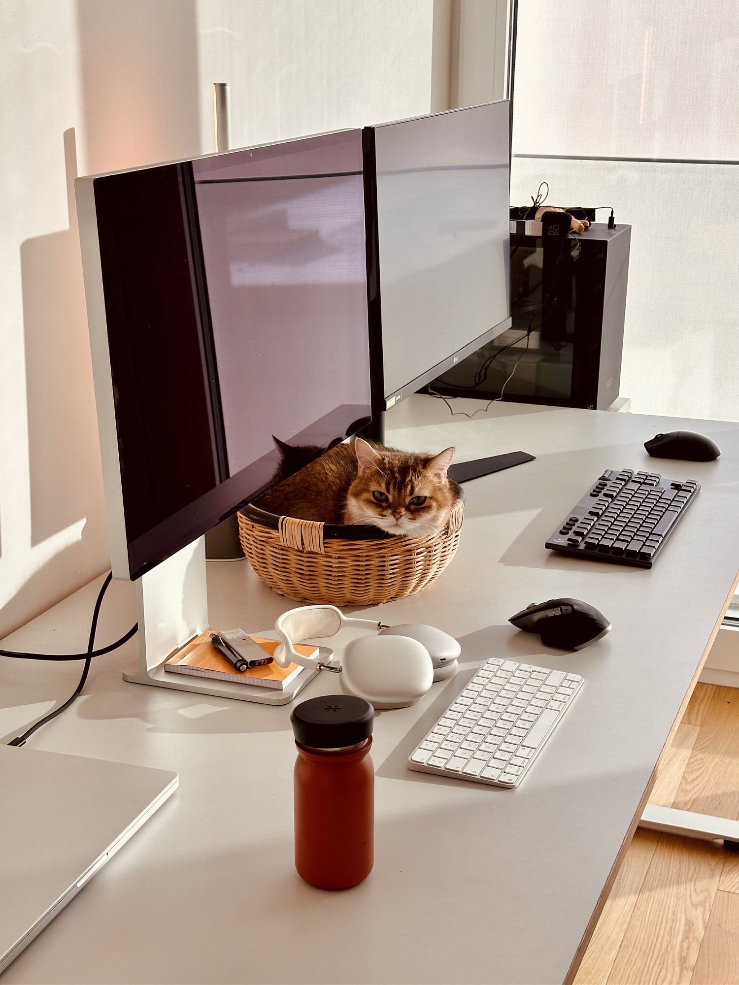 A clean workspace with dual monitors, a cat in a basket, and neatly arranged accessories