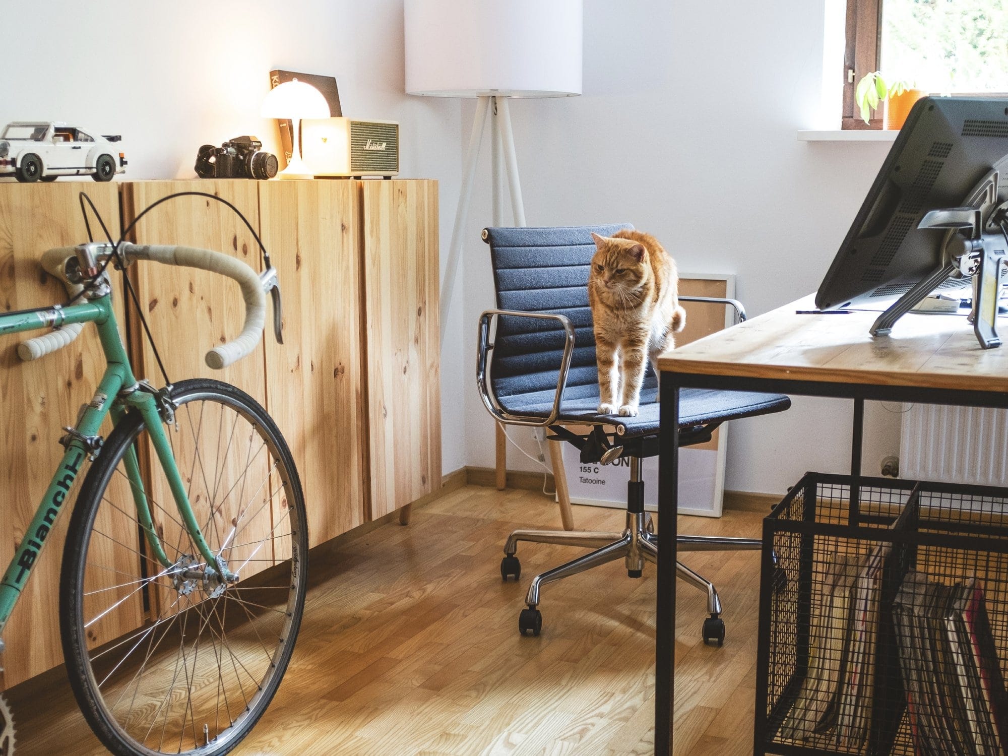  A home office with a Vitra EA 117 chair where a ginger cat stretches, a Wacom Cintiq tablet on the desk, and a vintage Bianchi bicycle leaning against the wall