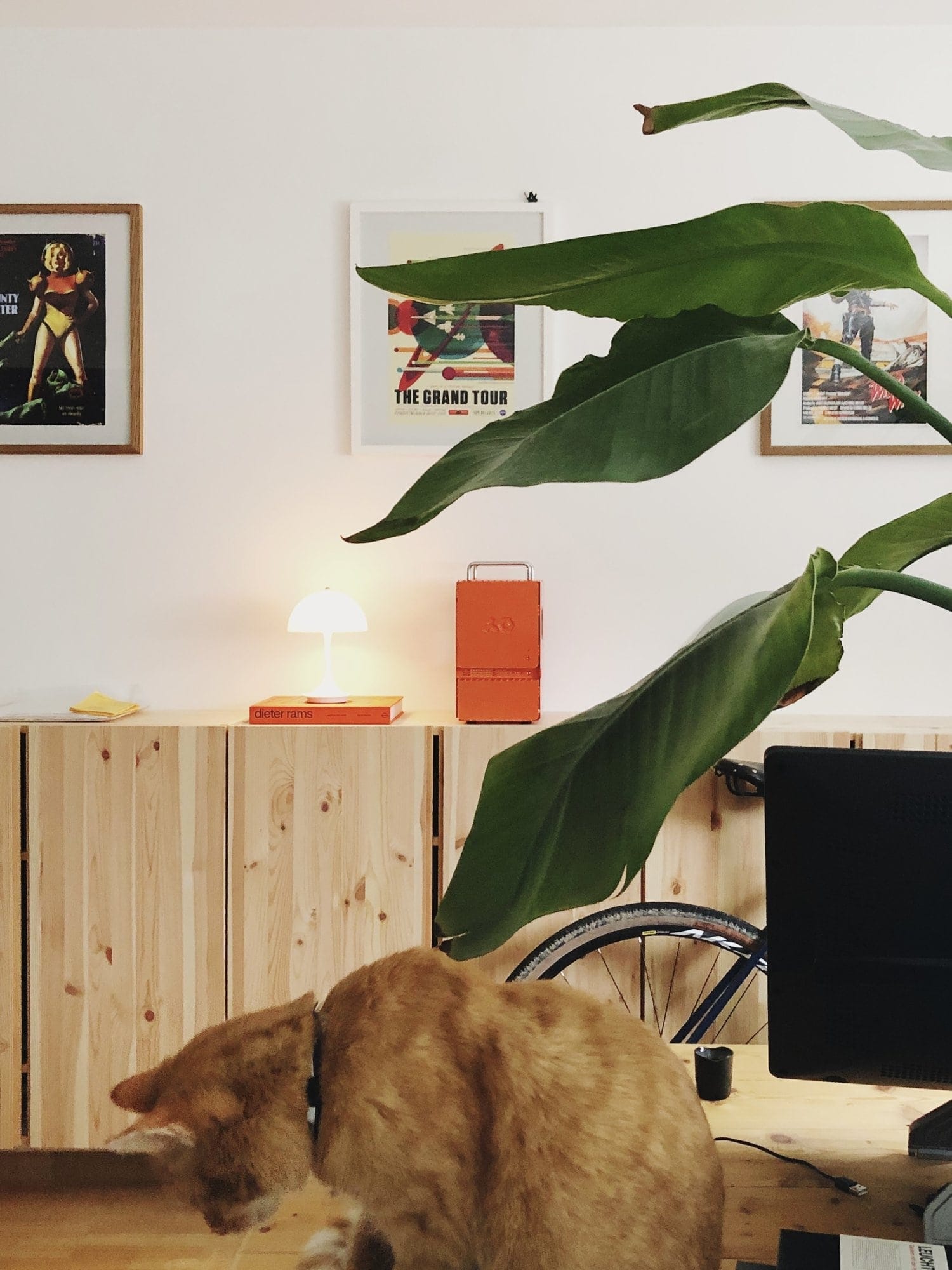  A stylish room with framed posters on the wall, a large green plant, and a ginger cat playing near the desk, while a bright orange Computer-1 (TE) case sits on a wooden cabinet next to a lamp and design books