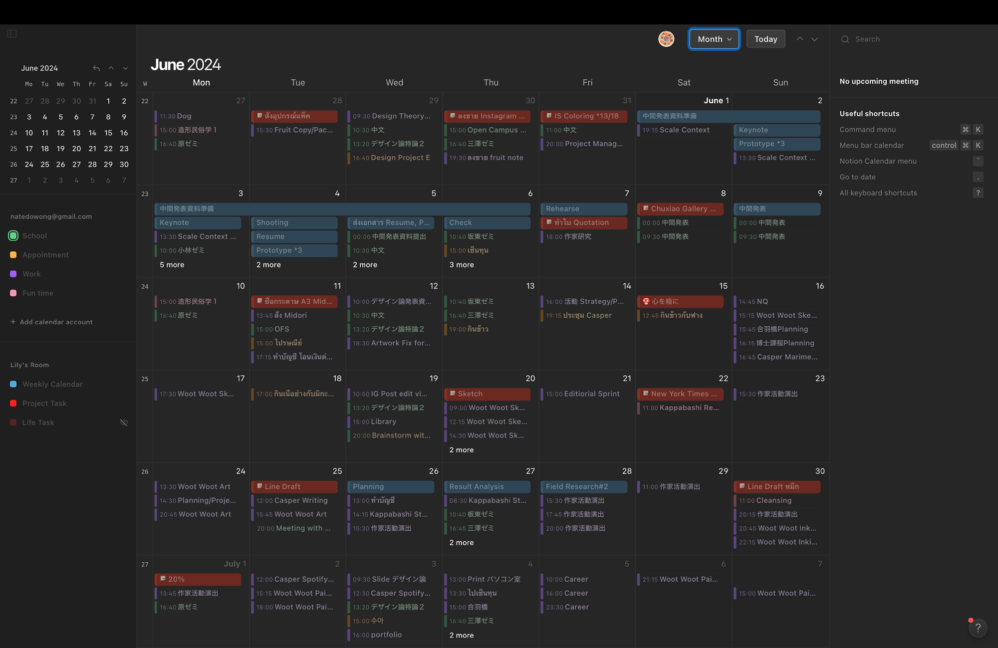 A screenshot of a digital calendar for June 2024, showing colour-coded events and tasks organised by categories such as school, appointments, work, and fun time in a monthly view