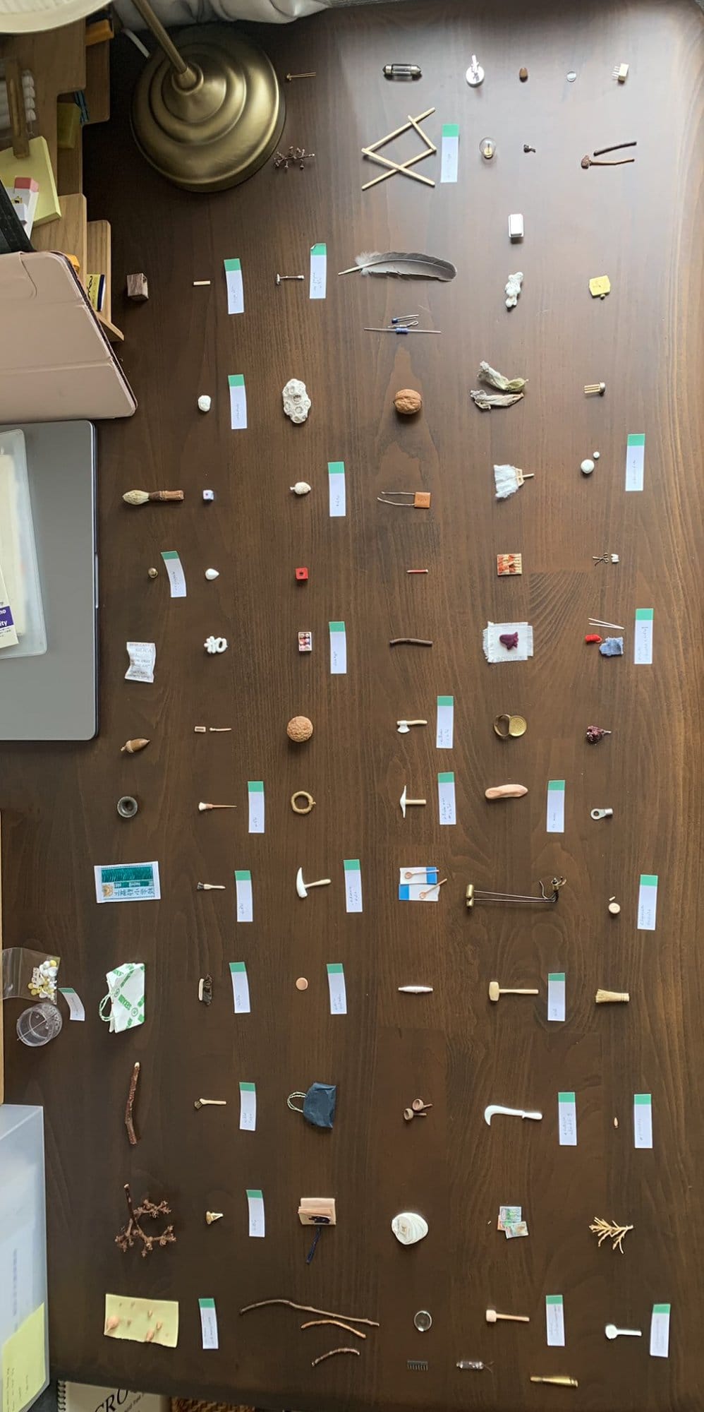 A collection of small items arranged on a wooden desk, with each object labelled, including natural elements like feathers, stones, and twigs, positioned next to office tools like push pins and paperclips, under the soft glow of an IKEA ÅRSTID lamp