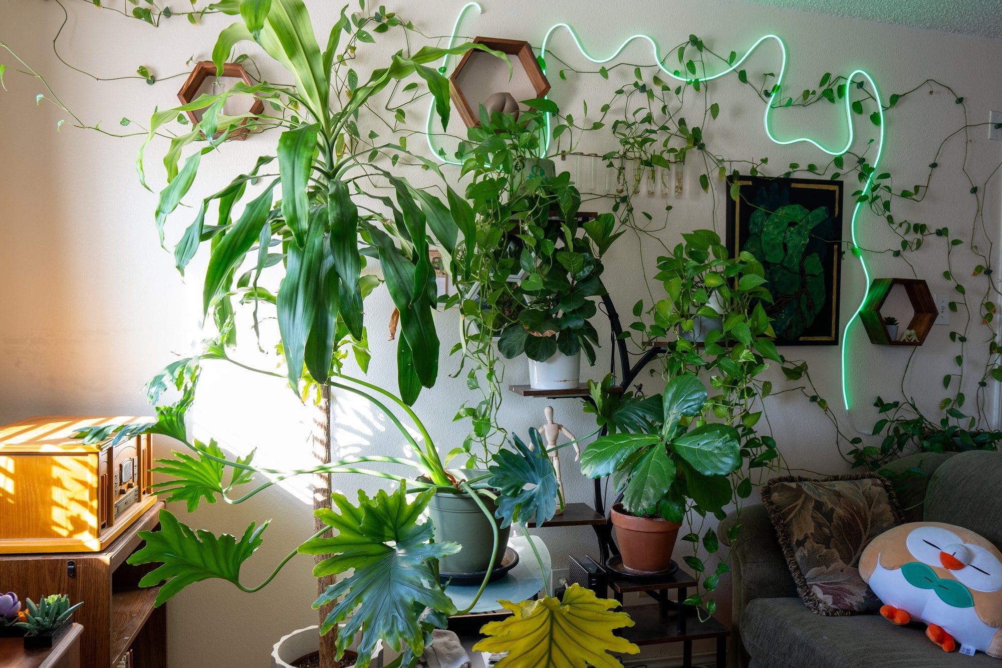 A living room wall with potted plants, hanging vines, a neon green light strip, and a green sofa with an owl-shaped pillow