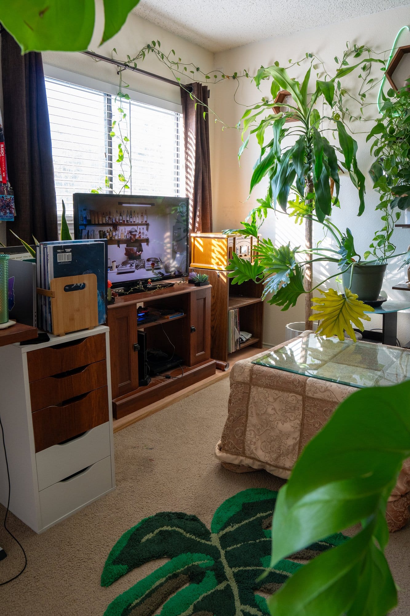 A living room corner with large potted plants, a TV on a wooden stand, a nearby side table, and a tropical leaf-shaped rug on the floor