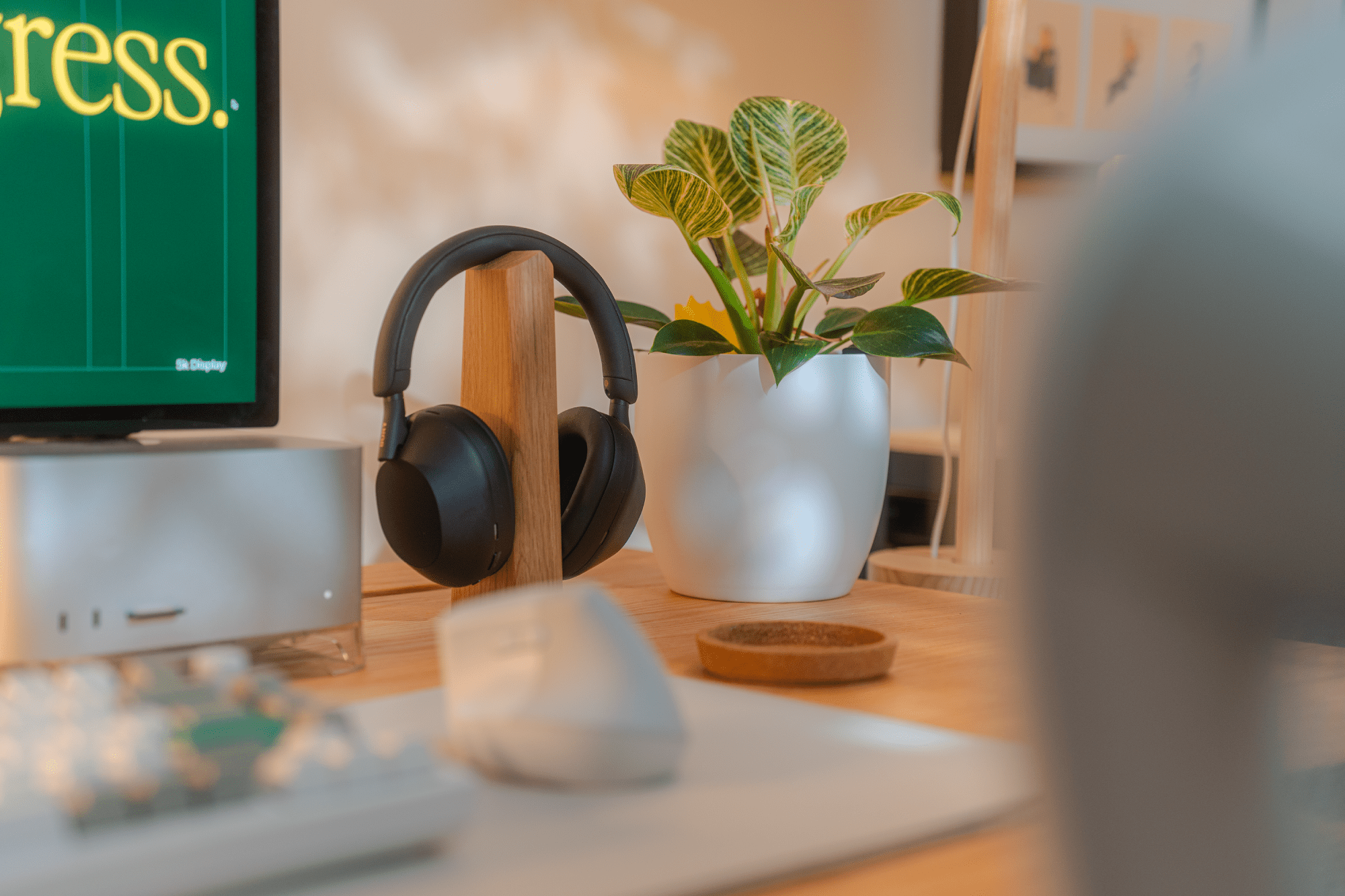 Sony XM5 headphones on a wooden stand next to a potted plant in a white pot, with an Apple Mac Studio and part of a Logitech Lift mouse visible in the foreground