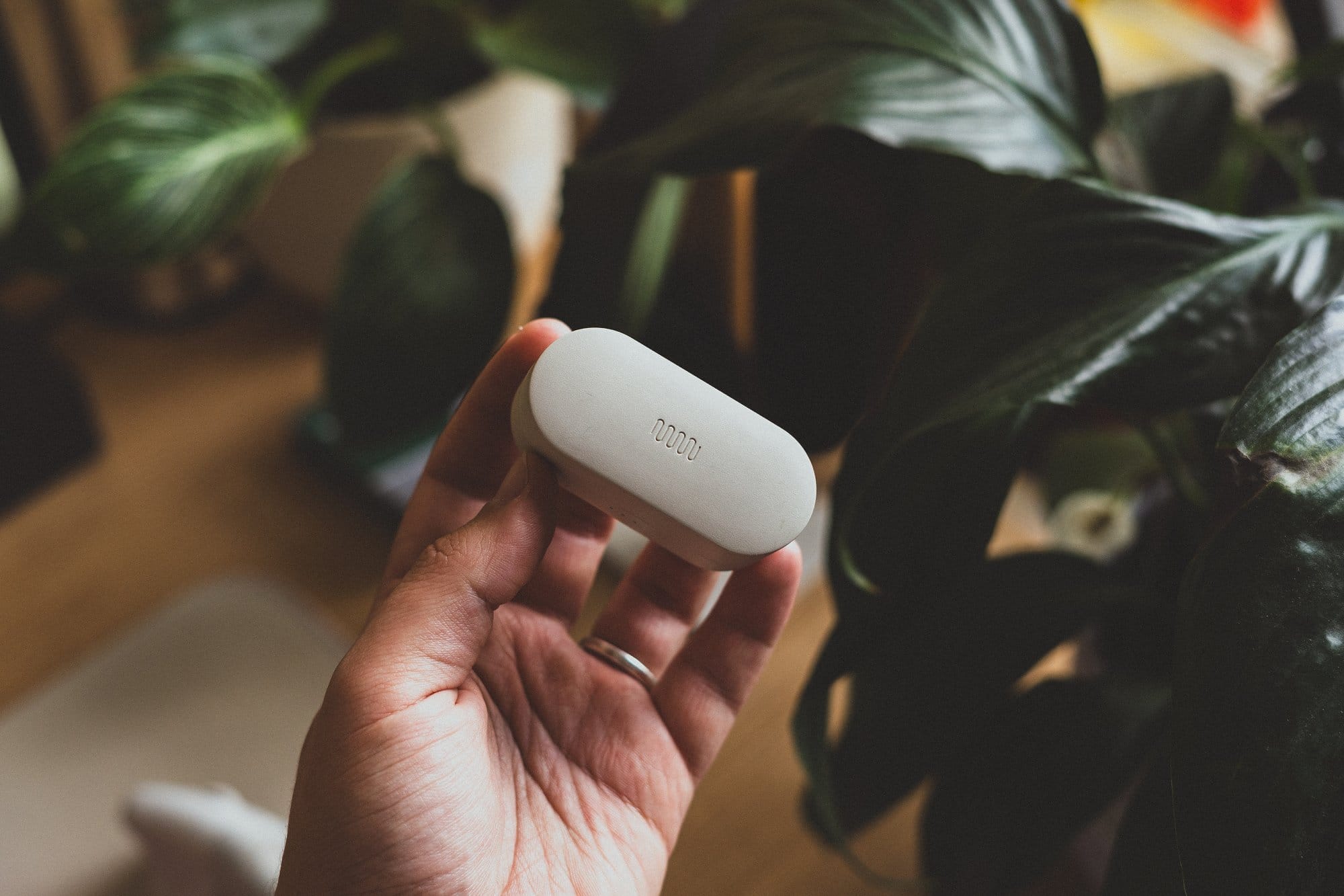 A hand holding a pair of Between 3ANC earbuds in their white charging case, with green plants in the blurred background