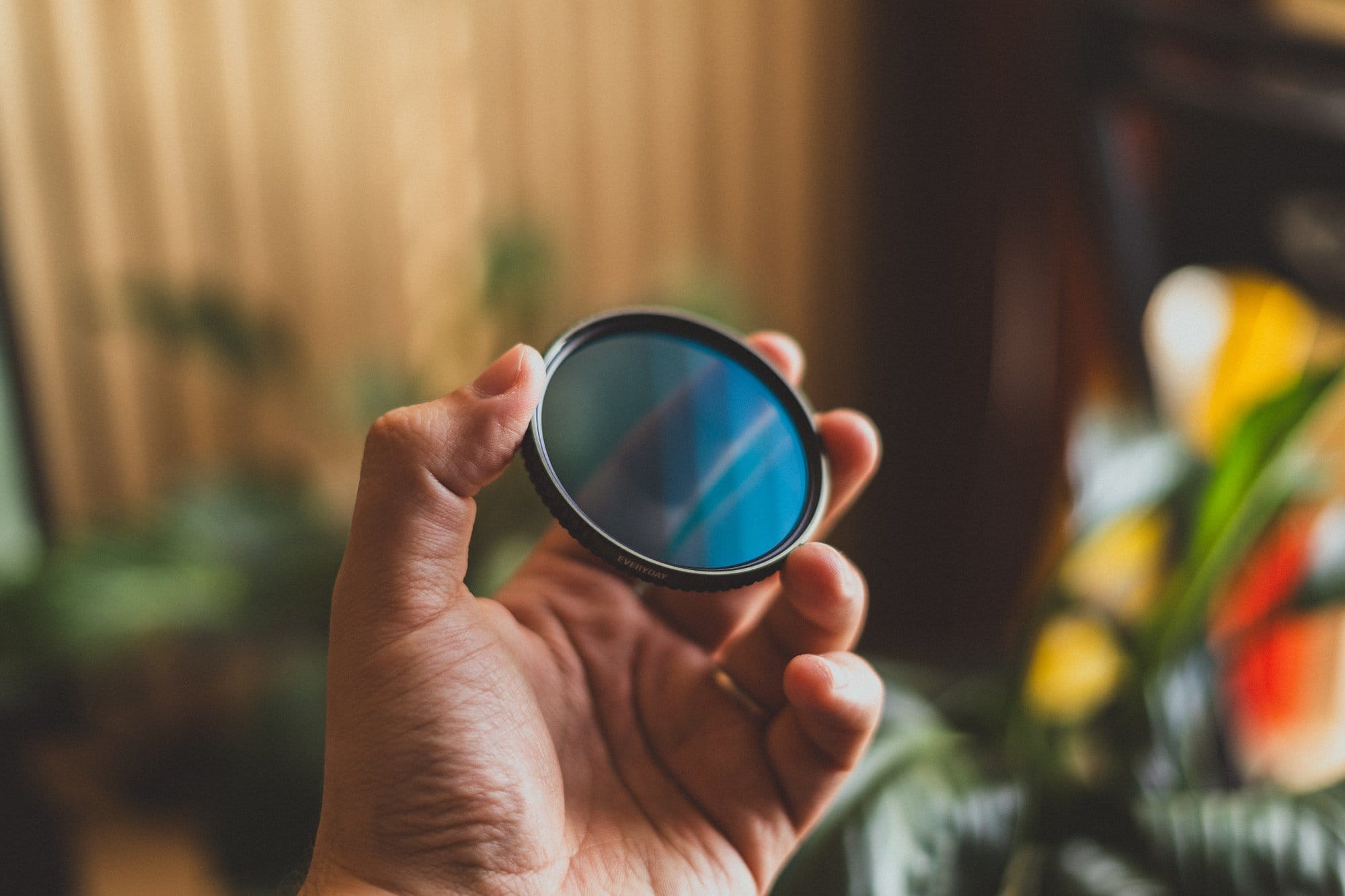 A hand holds a circular camera lens filter against a blurred indoor background with plants, showcasing the “Everyday“ branding on the filter’s rim