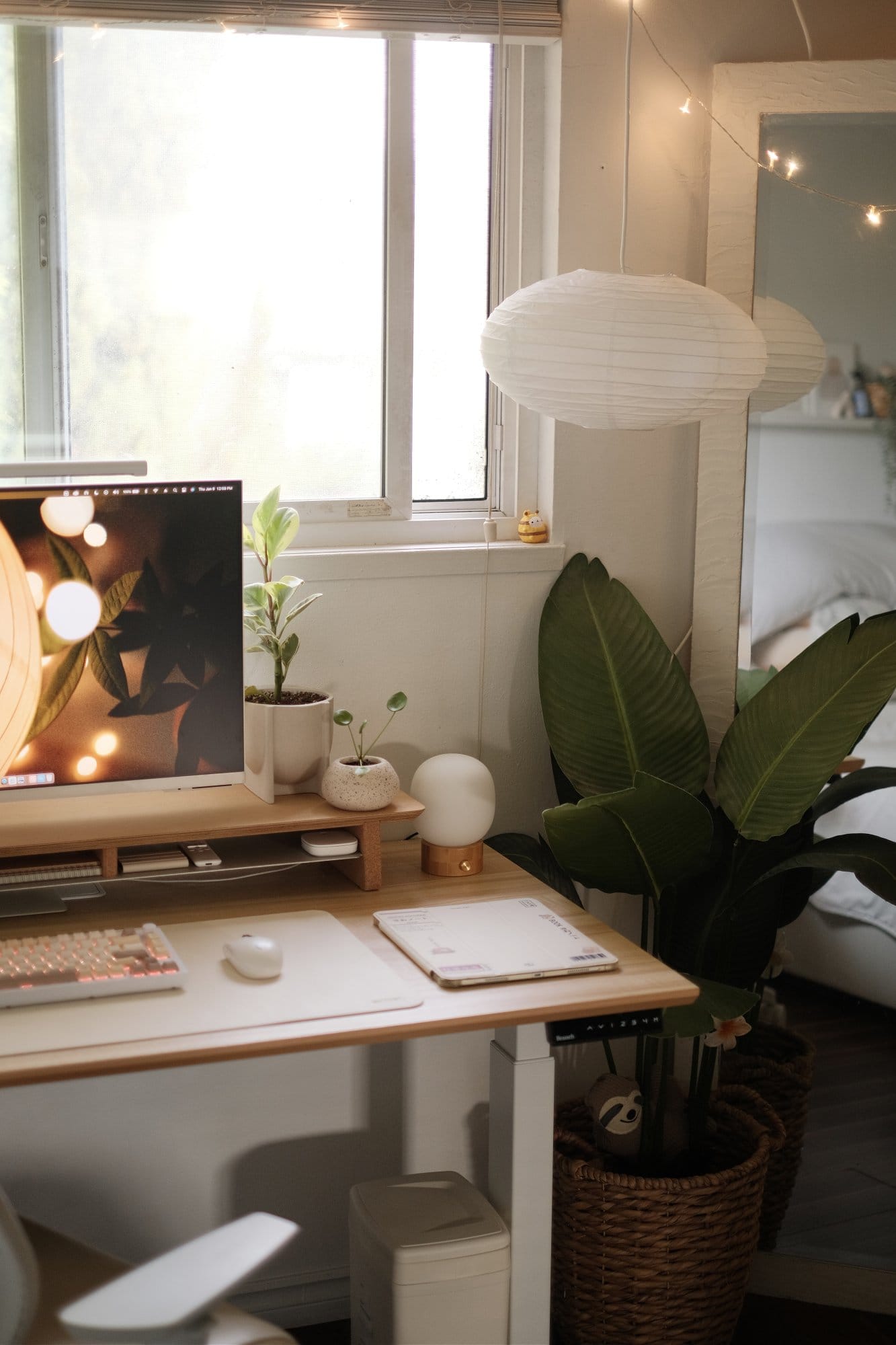 A corner of a bedroom workspace with a Samsung UHD monitor on a Branch standing desk, a large potted plant in a woven basket, and a paper lantern by the window