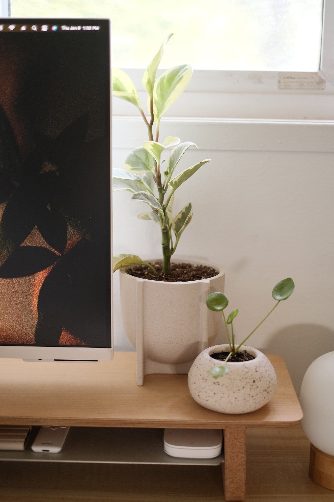 A close-up of two potted houseplants beside the partially visible Samsung 32″ M8 Smart White UHD Monitor on a large Grovemade deskshelf