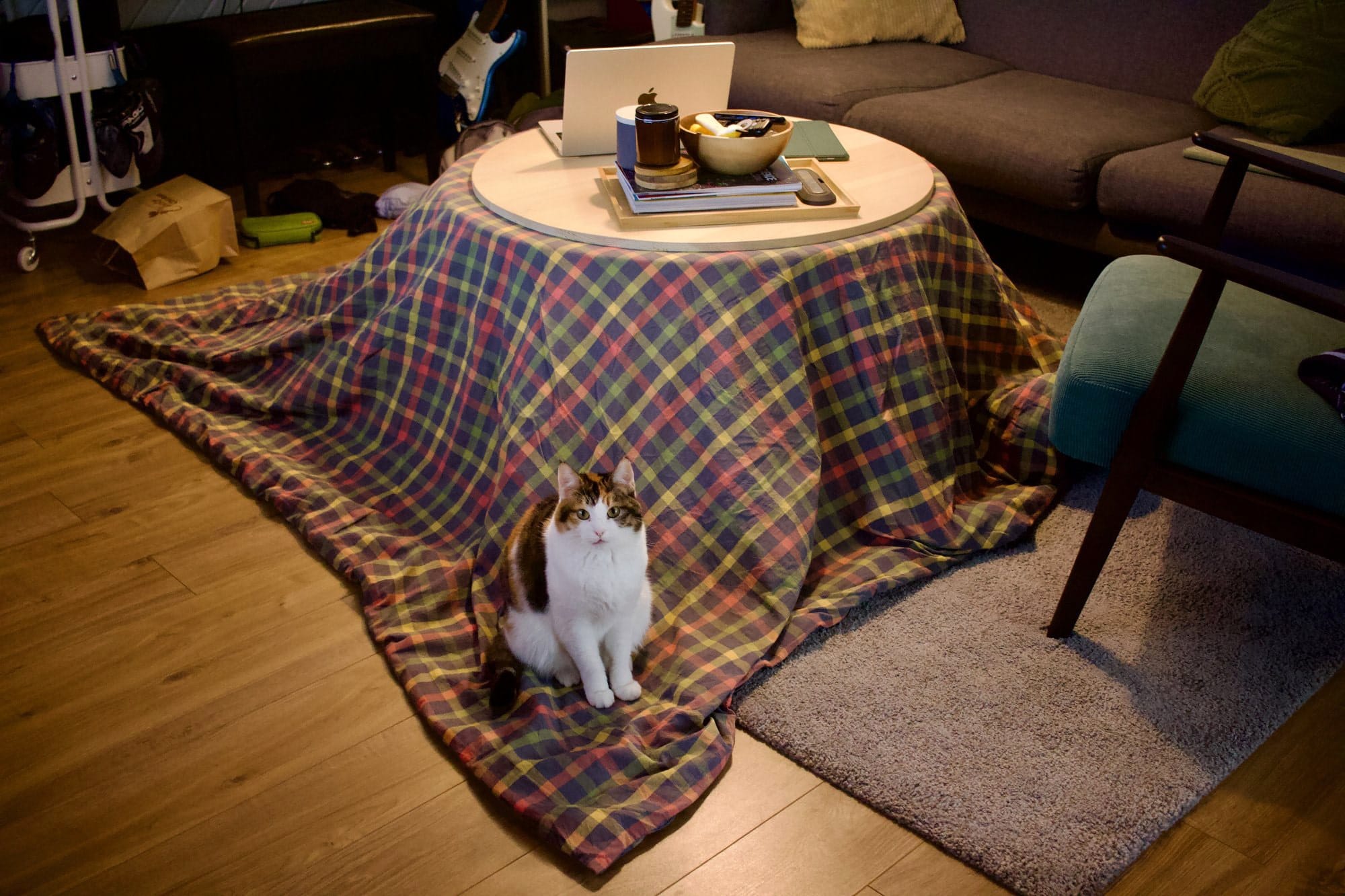 A wooden table covered with a plaid blanket, set up as a kotatsu with a laptop and snacks on top, and a white and brown cat sitting in front