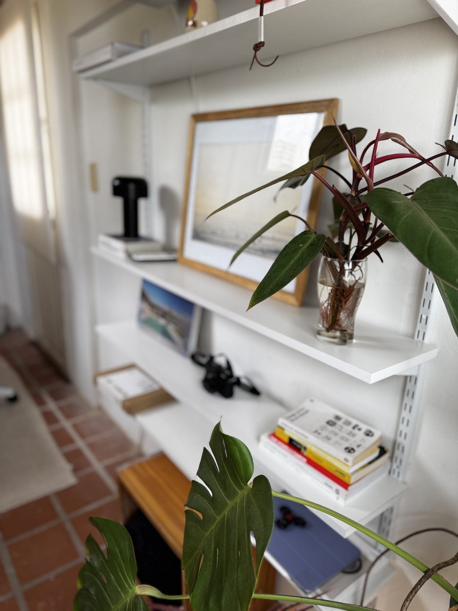 White wall-mounted shelves holding books, a framed print, a black camera, and a small plant in a glass